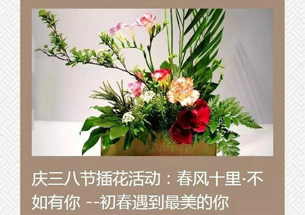 Huge benefits for flower arrangement registration and ticket purchase | A gift for the Queen’s Day in Zhaobaoshan Scenic Area!